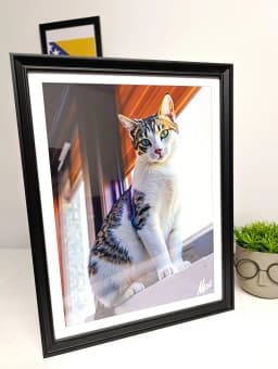 Print - Slika po narudzbi - Mici macka – Profesionalna grafika i štampa NEDIMAL Tešanj